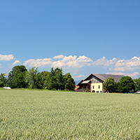 l'eglise dans la campagne